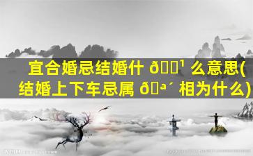 宜合婚忌结婚什 🌹 么意思(结婚上下车忌属 🪴 相为什么)
